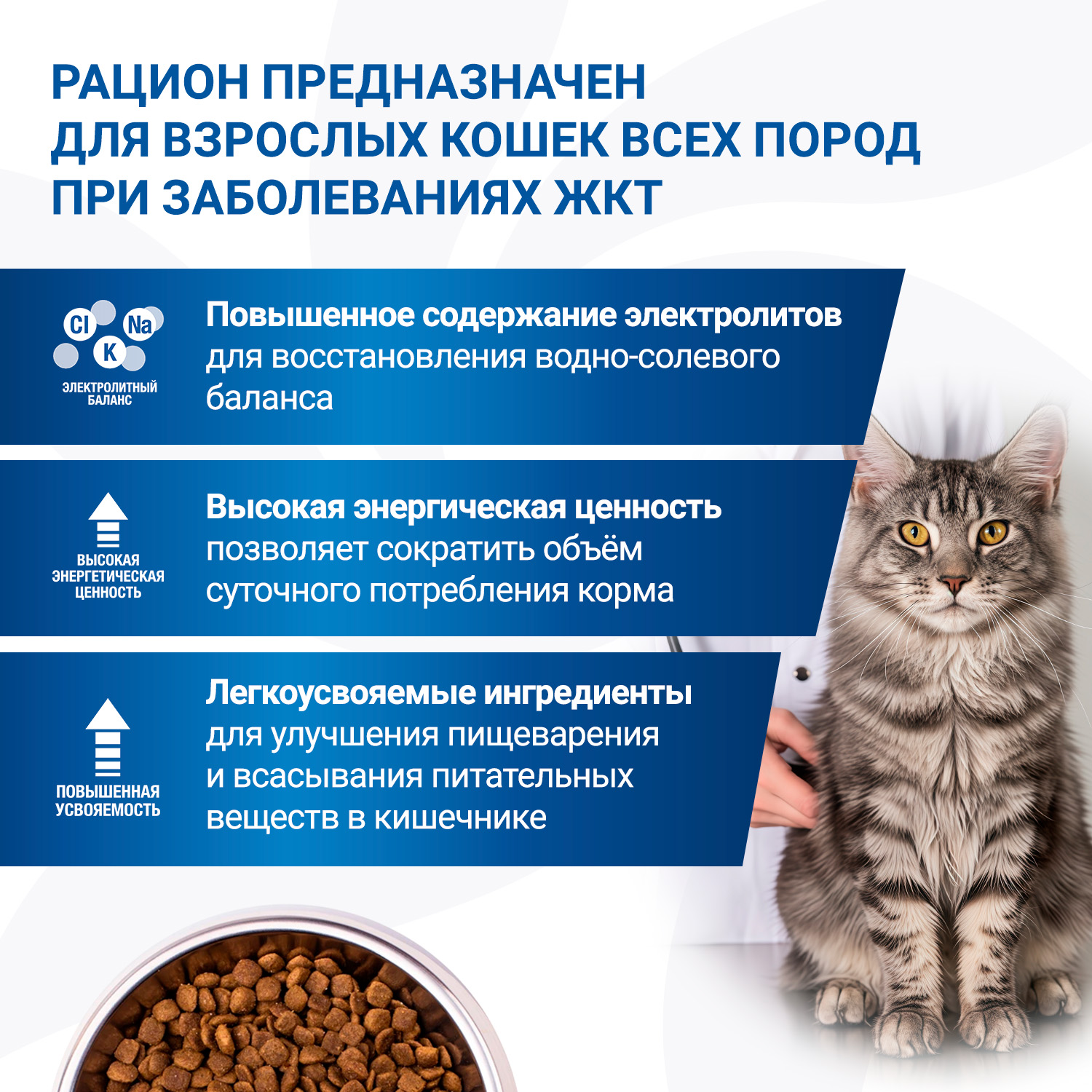 Monge VetSolution Gastrointestinal Cat