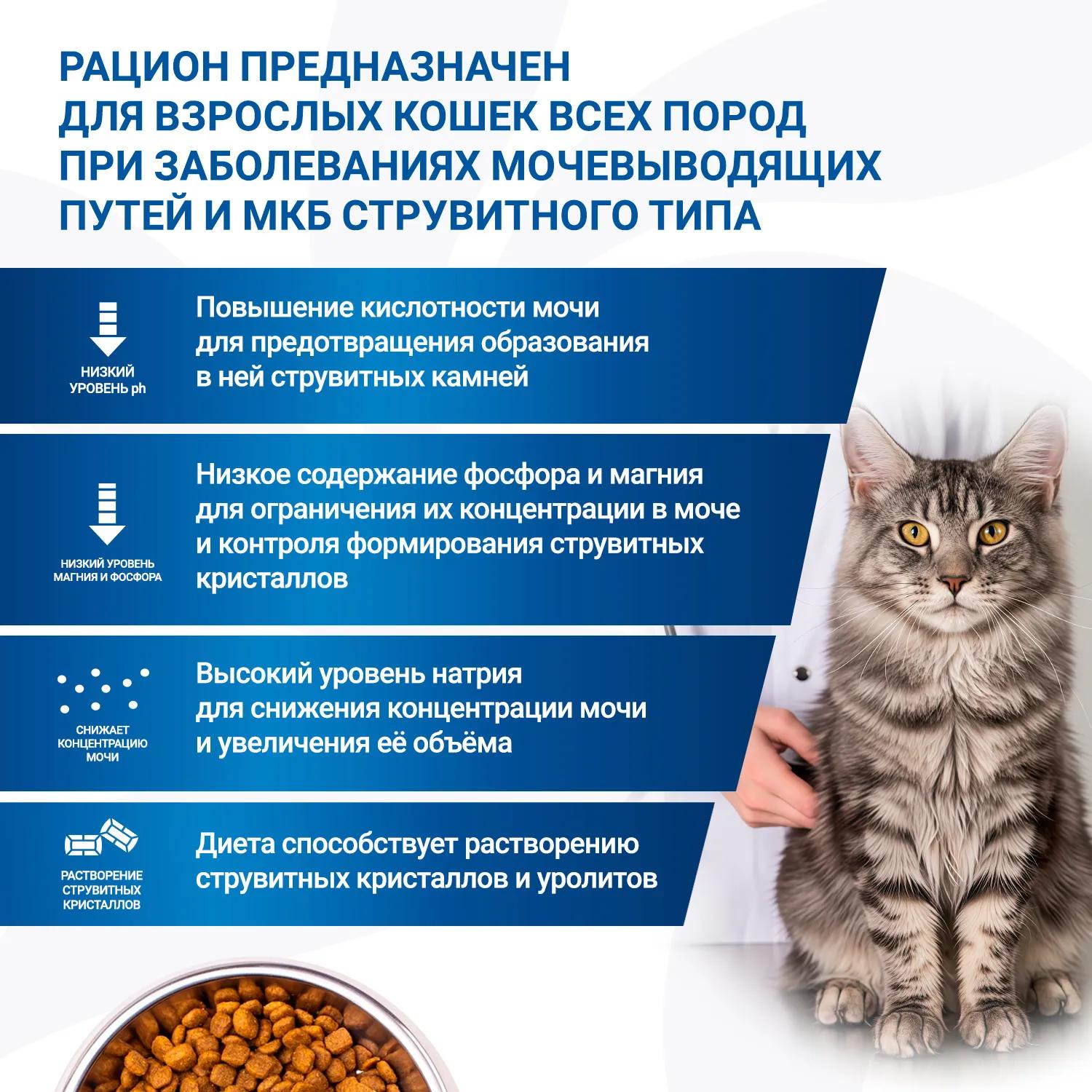 Monge VetSolution Urinary Struvite Cat